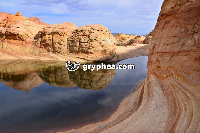 Formations gréseuses (Coyotte Buttes North, Utah, USA) - gryphea.org